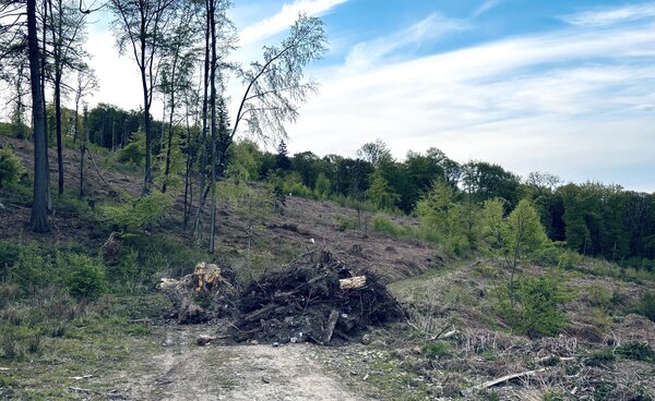 Illegale M�llentsorgung